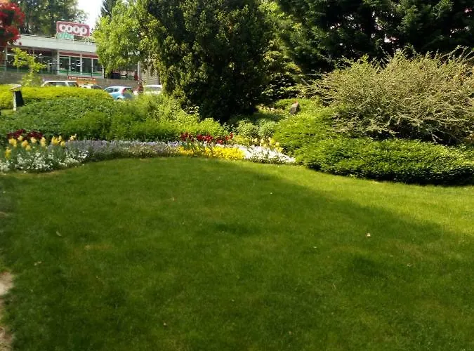 Violetta Apartmanlakas